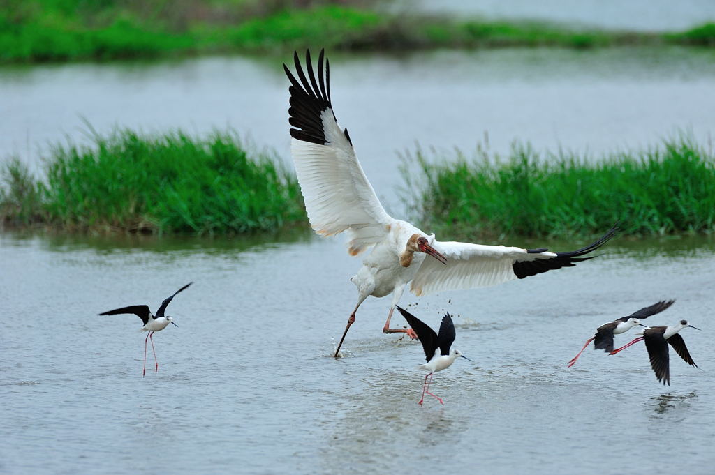 ね！！！　遊ぼうよ～～～