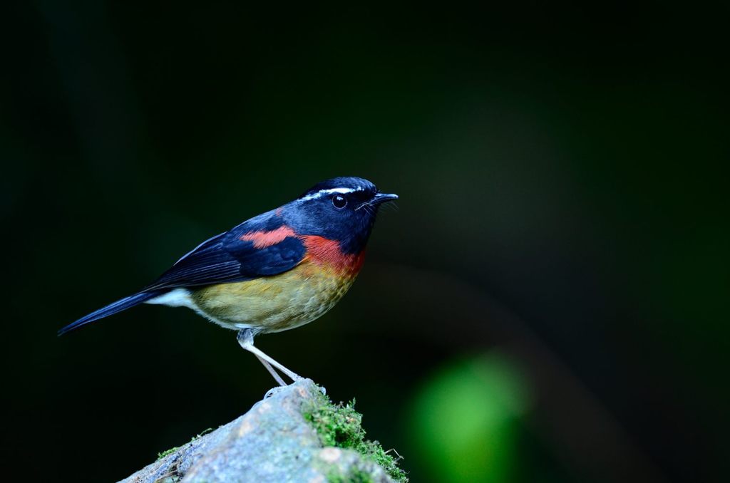 待っていますよ～～