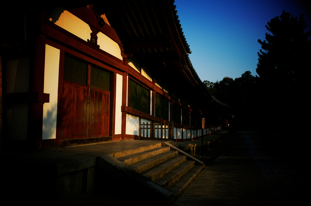 東大寺