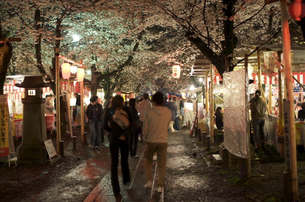 平野神社の夜桜