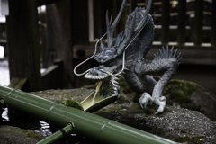 龍