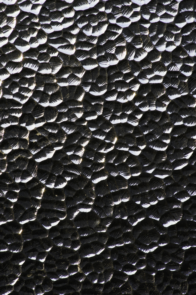 DSC_0356
