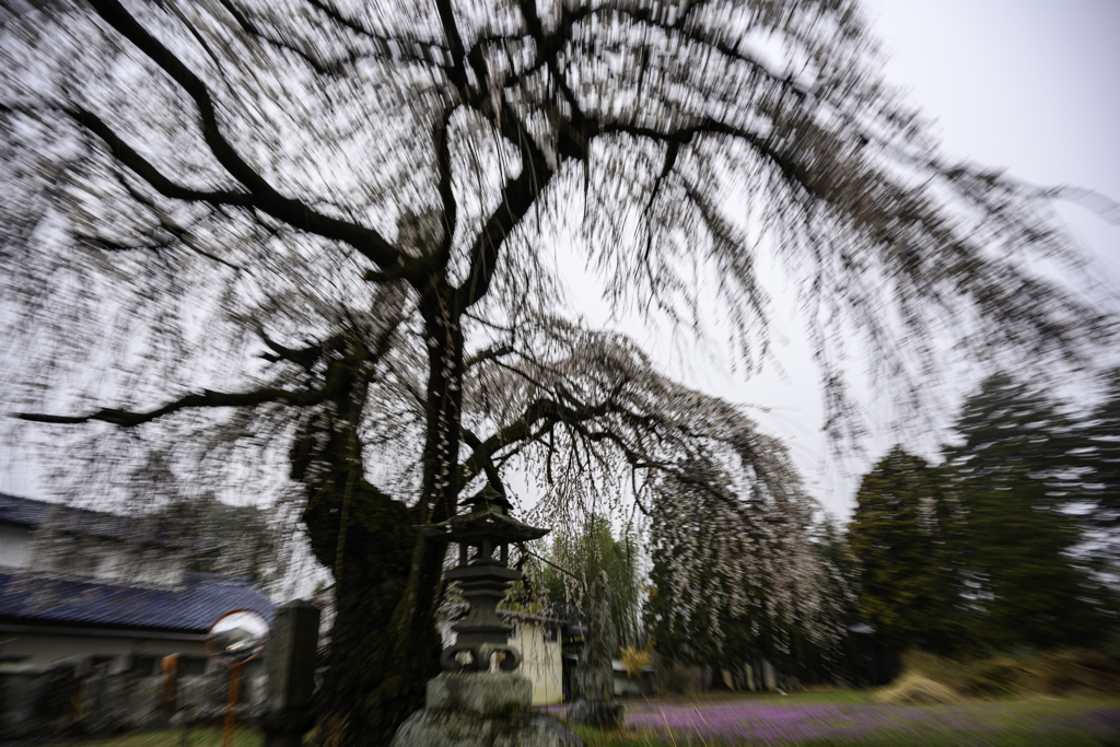 ぶれた