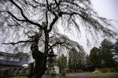 ぶれた
