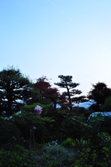 わんだ~わ~るど