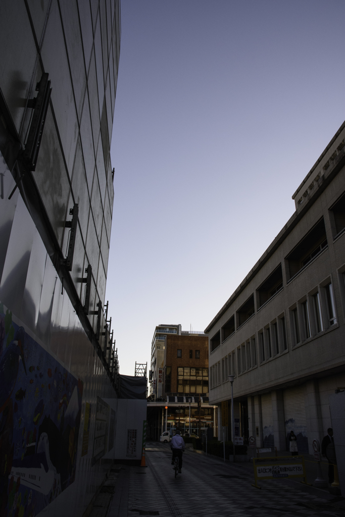 DSC_0460