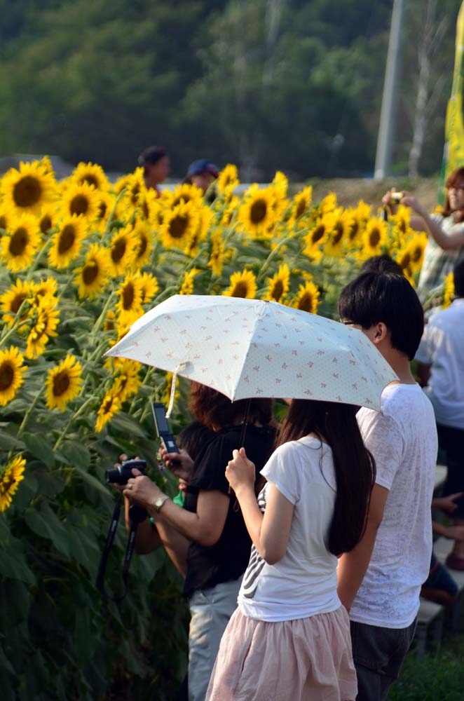 笑顔の花