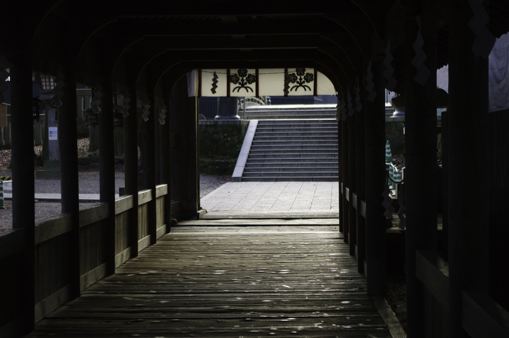 IMGP0428