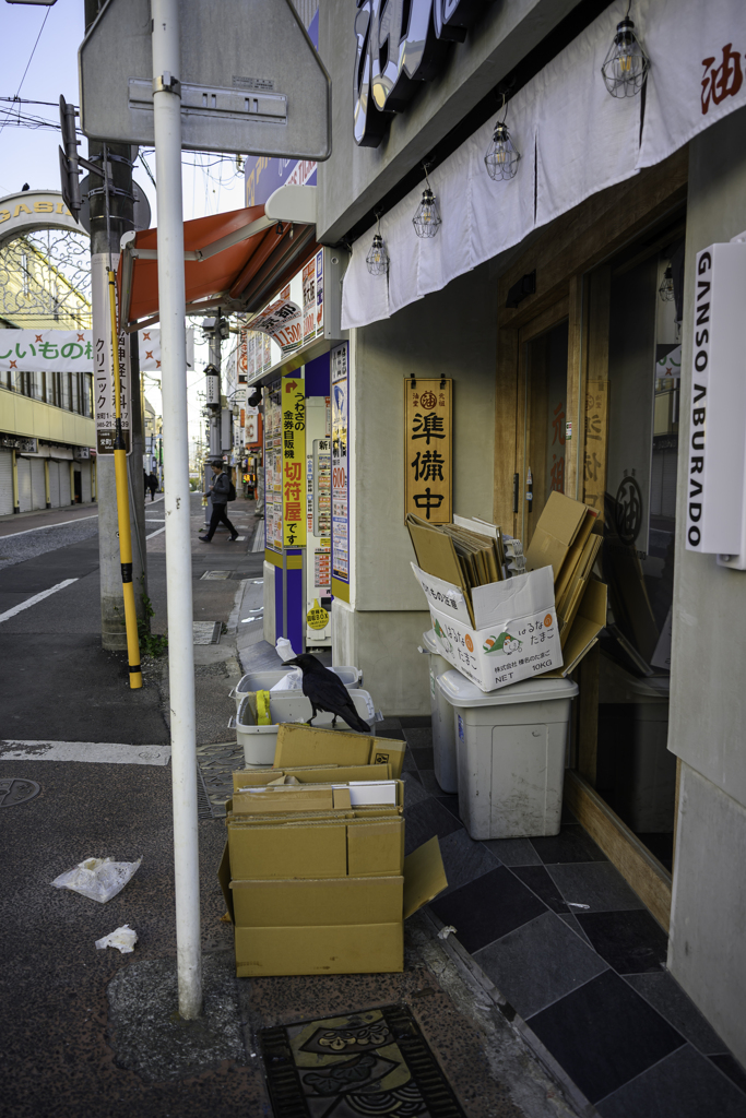 いきものがいる2