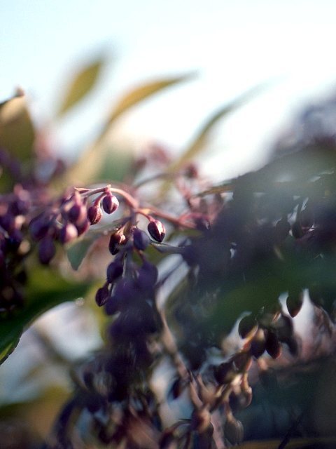 そこにある景色