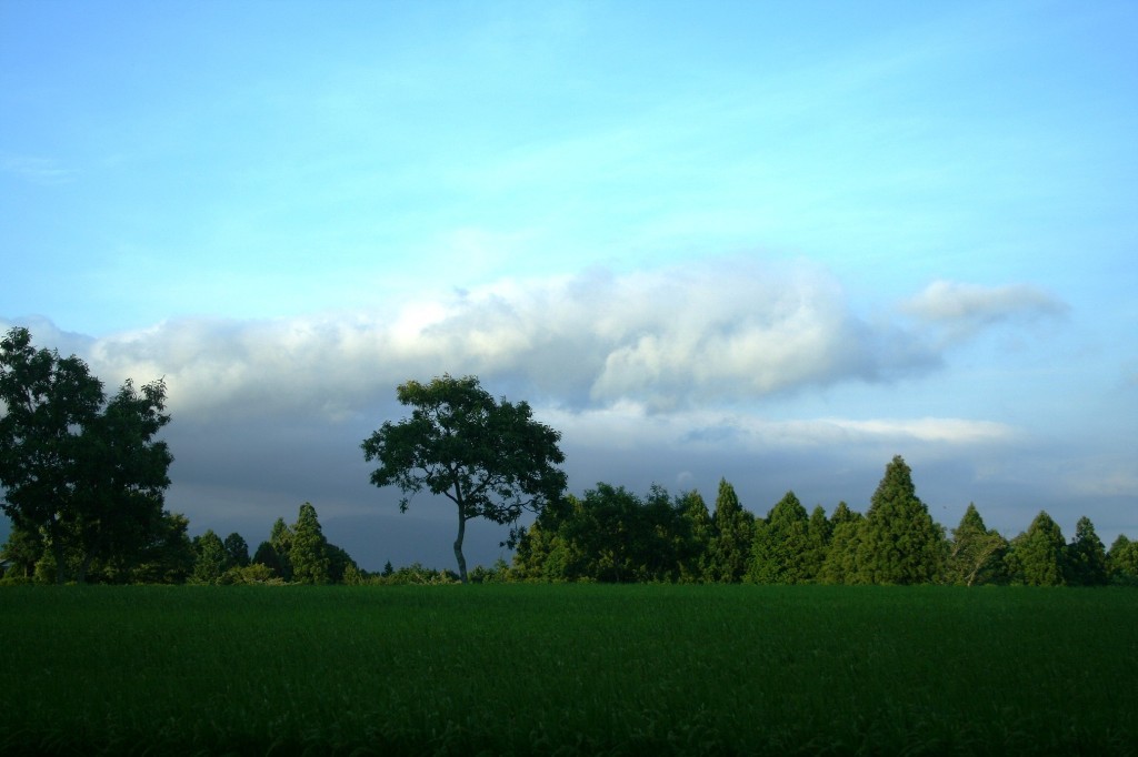 PLACE