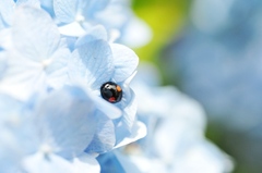 ちっさい世界で