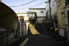 いきものがいる3