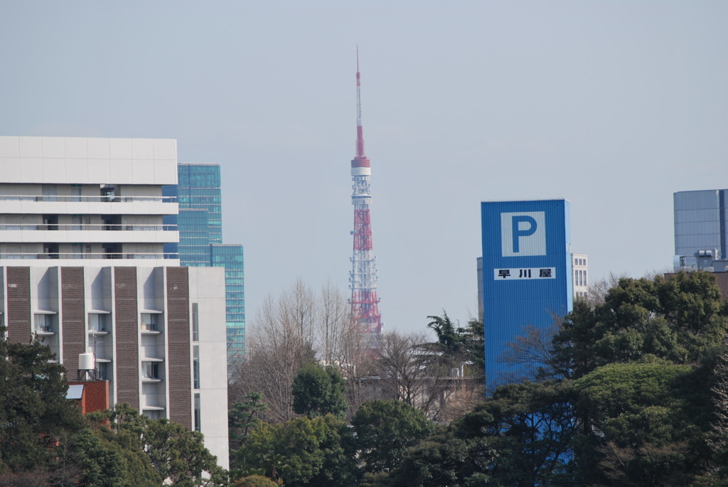 東京タワー