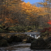 秋模様　竜頭の滝上流