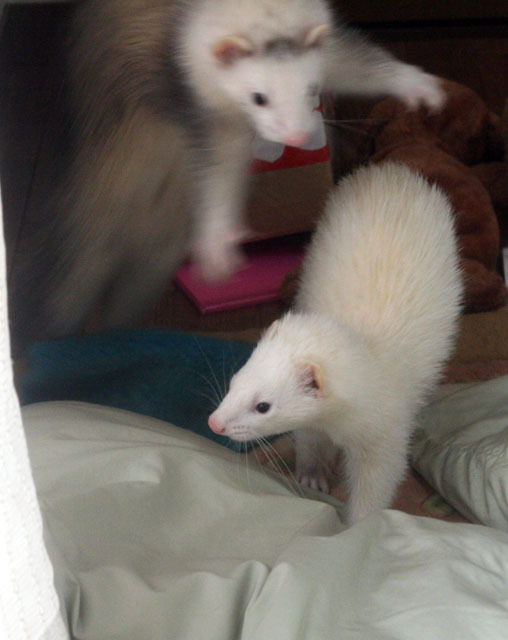 おばけが出た
