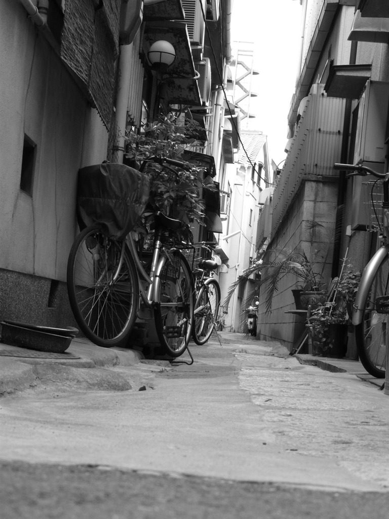 路地