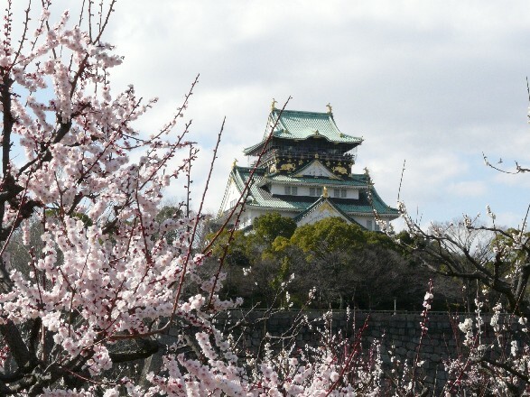 大阪城と梅