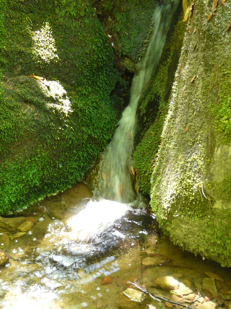 緑水