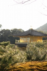 金閣寺