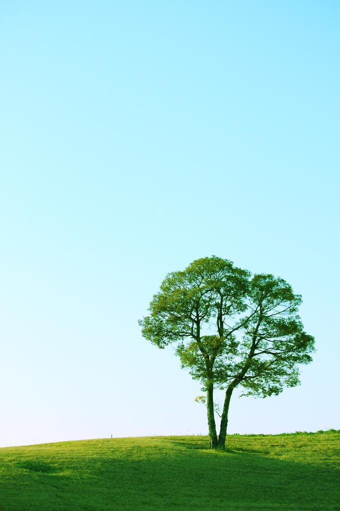 暖かい日差し