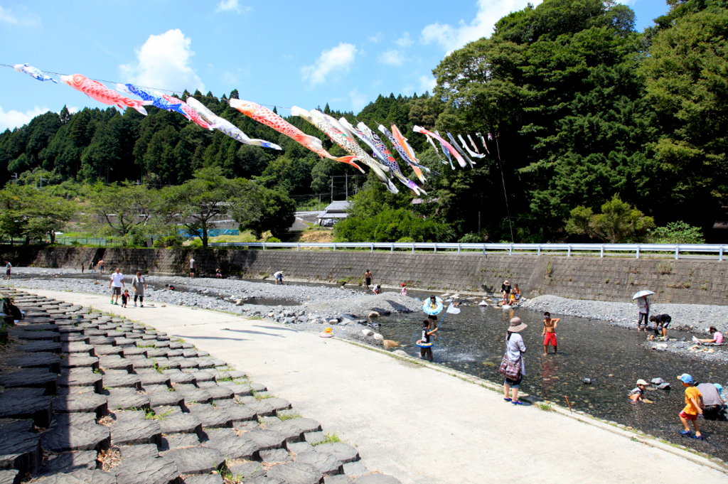 真夏の鯉のぼり