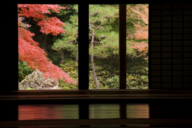 京都南禅院紅葉