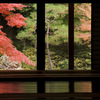 京都南禅院紅葉