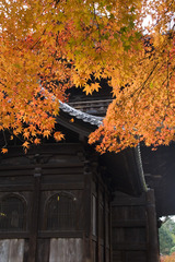 京都南禅寺三門と紅葉