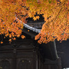 京都南禅寺三門と紅葉