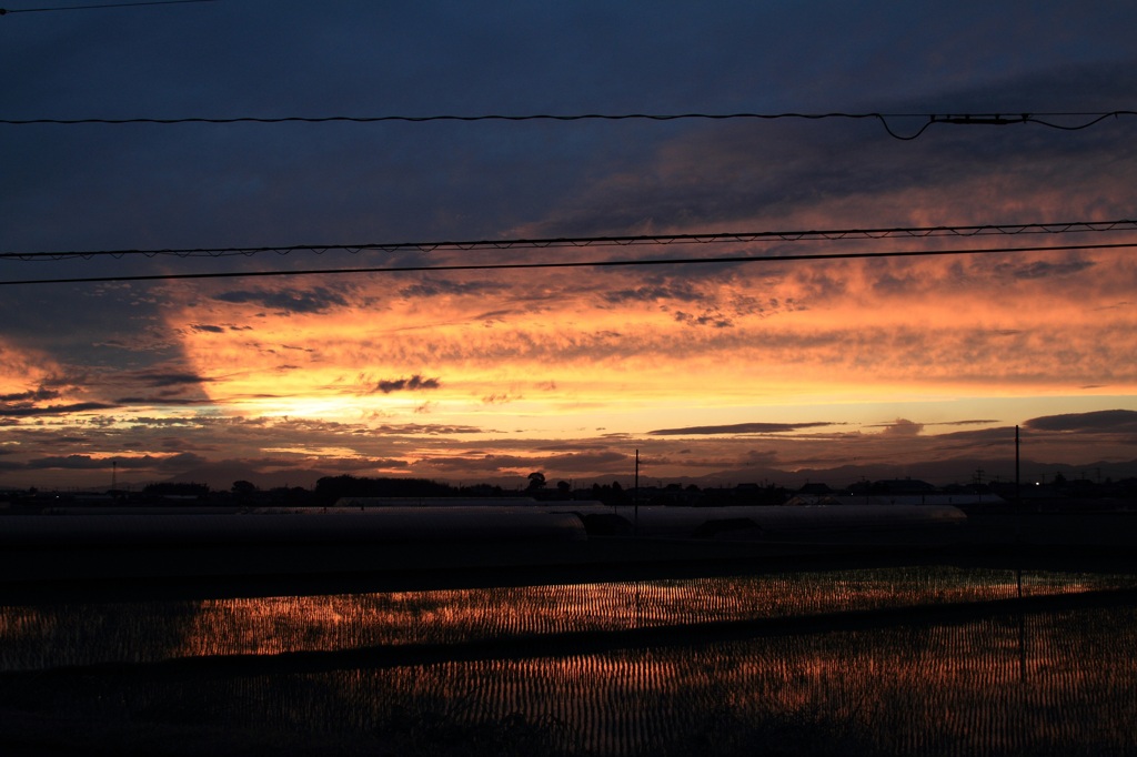 田んぼの夕焼け