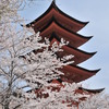 五重塔