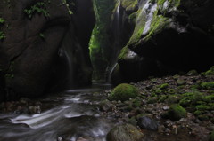 岩と苔と水のオーケストラ