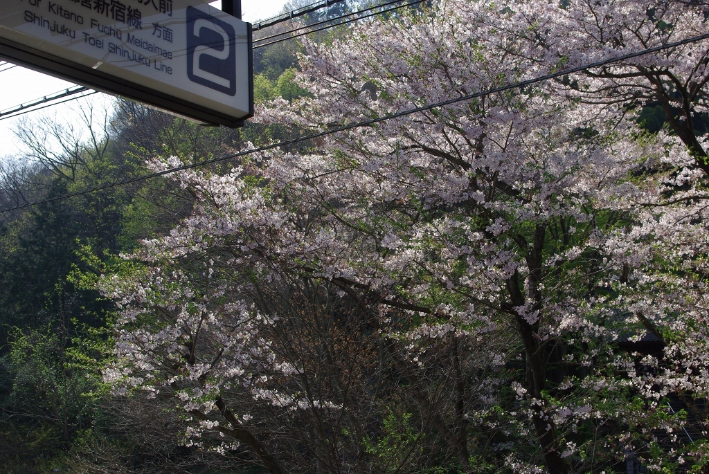 京王高尾山口駅‐0904