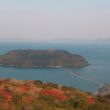 知林ヶ島