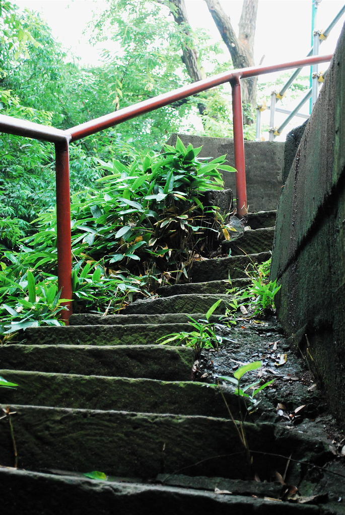 曲がりくねった階段