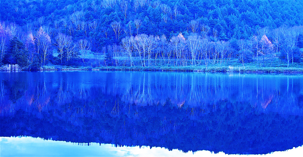 蒼い朝