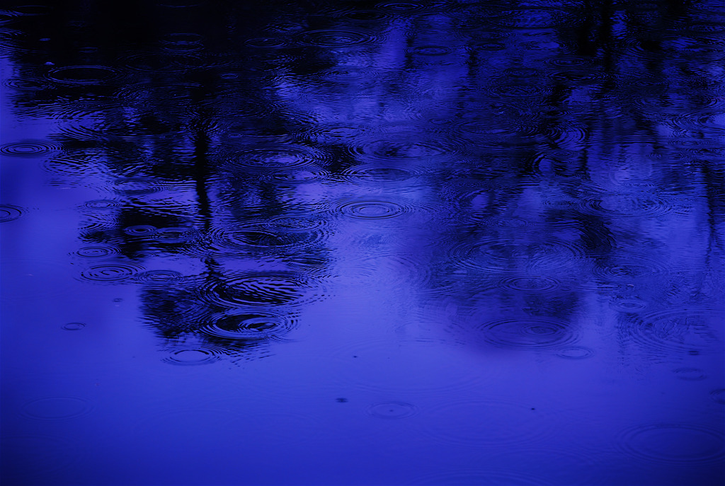 雨の強弱