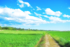 あぜ道