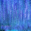 blue shower