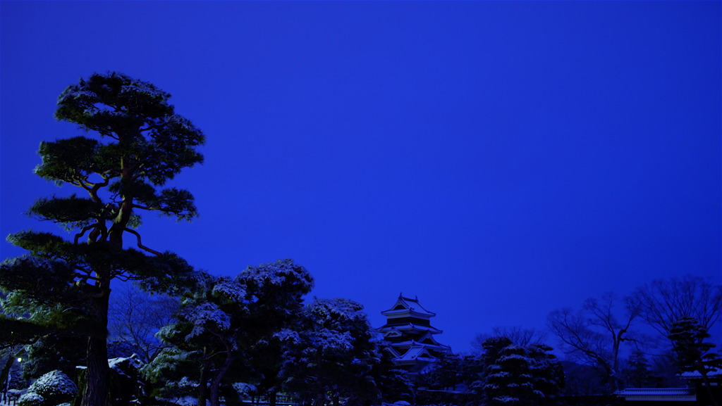 庭園に城