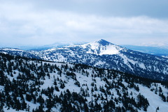 アスピーテライン