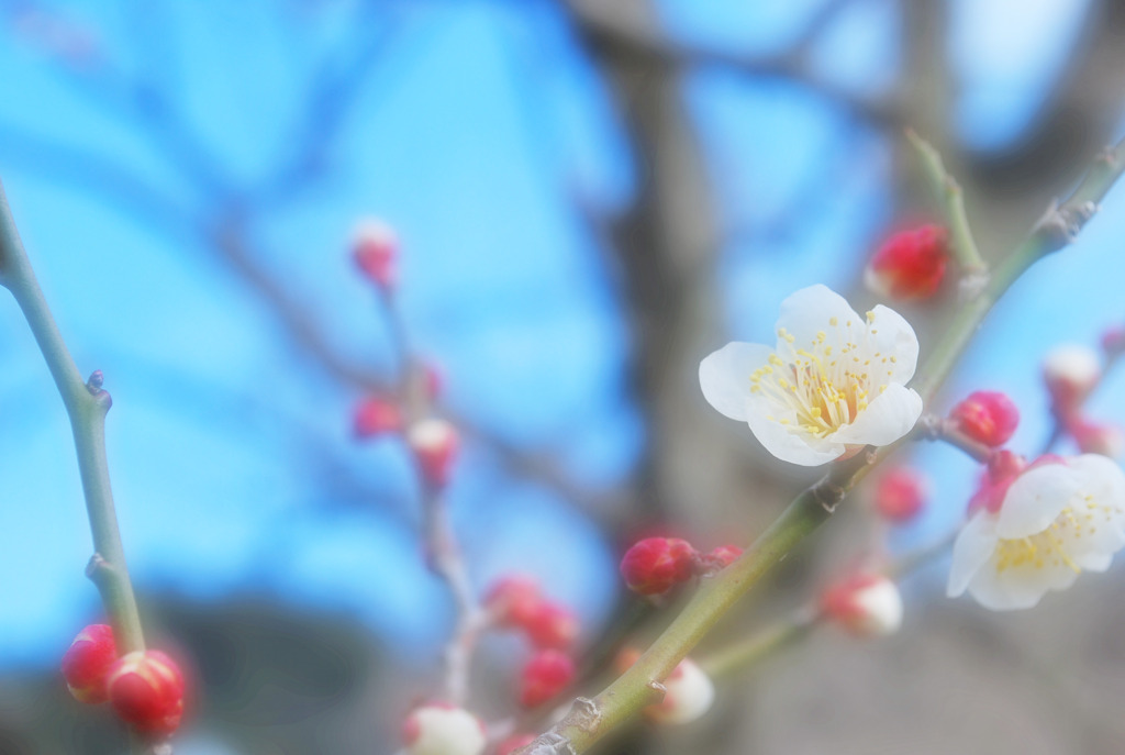 さわやかに