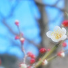 さわやかに
