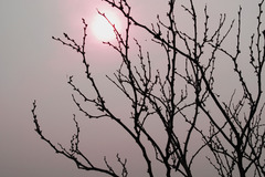 朝日になに想う