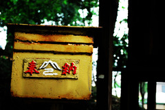 願いをのみ込んで