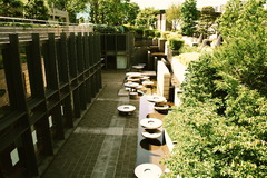 緑のなかのベンチ