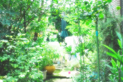 雨上がりの庭