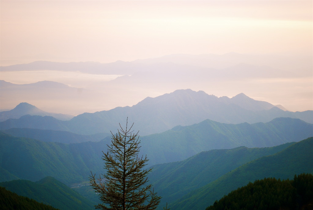 朝の山なみ