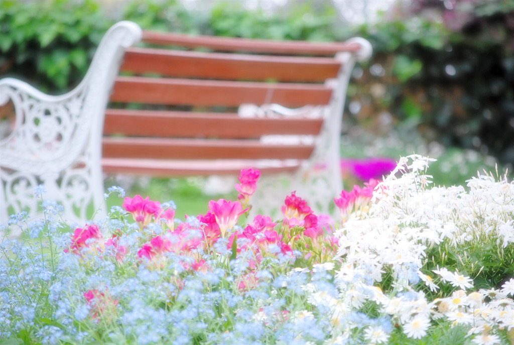 花とベンチ